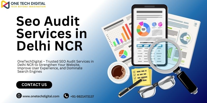 Seo Audit Services in Delhi NCR