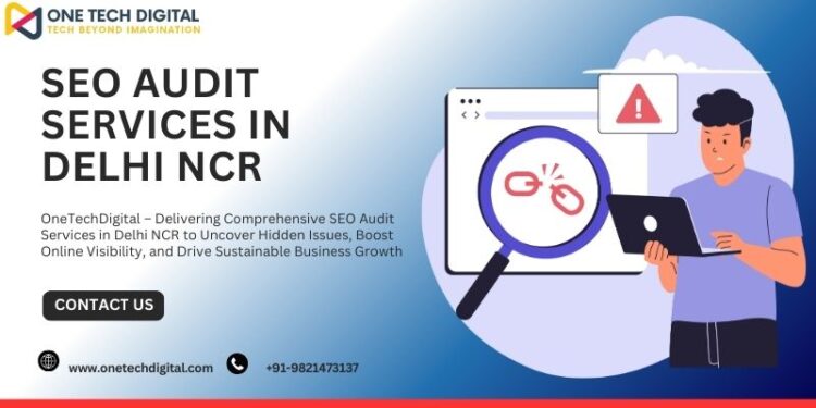 Seo Audit Services in Delhi NCR