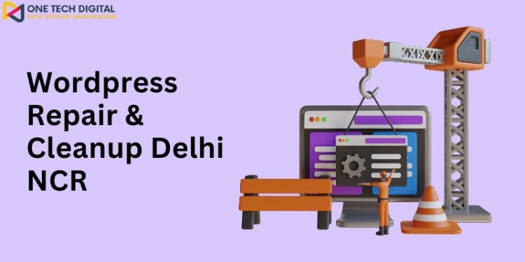 WordPress Repair & Cleanup Delhi NCR
